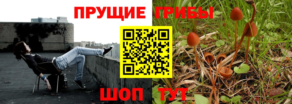 Псилоцибиновые грибы мицелий  Вход с VPN  Псилоцибиновые грибы MAGIC MUSHROOMS  Дзержинск 