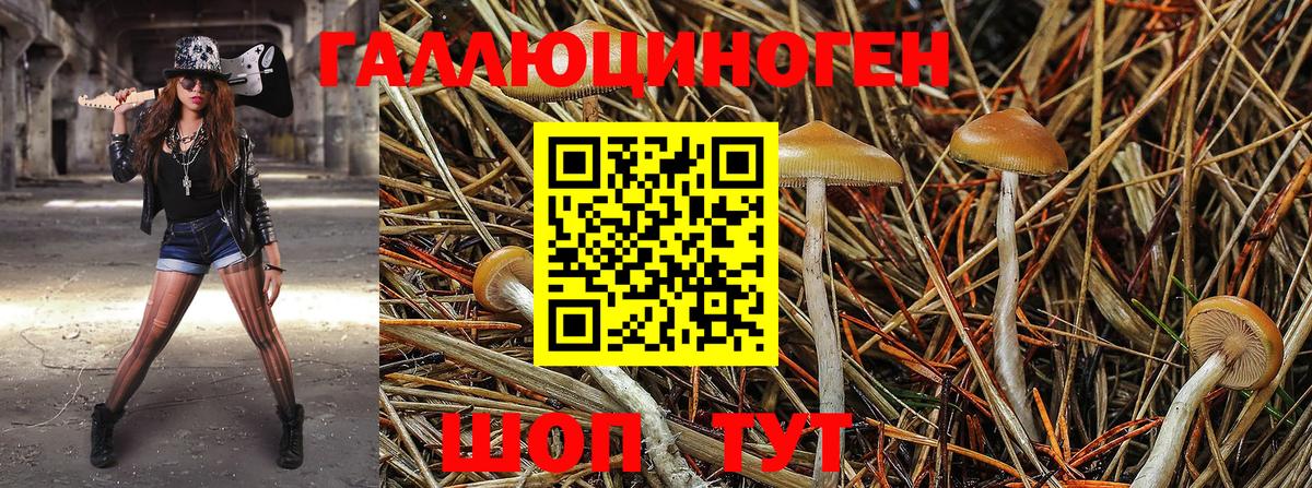 Псилоцибиновые грибы мицелий Дзержинск